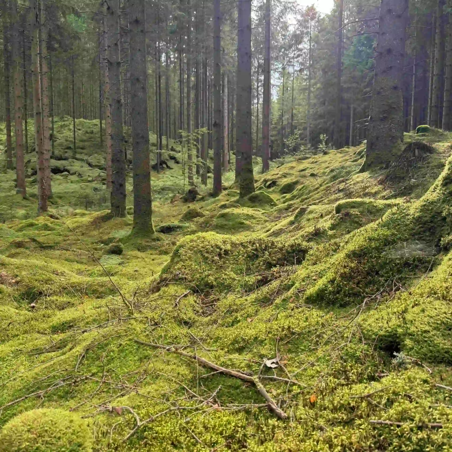 Så hjälper BRIX Sverige byggherrar att minska klimatavtrycket i fasaden